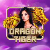 Dragon Tiger live casino on 1xbetloginapk
